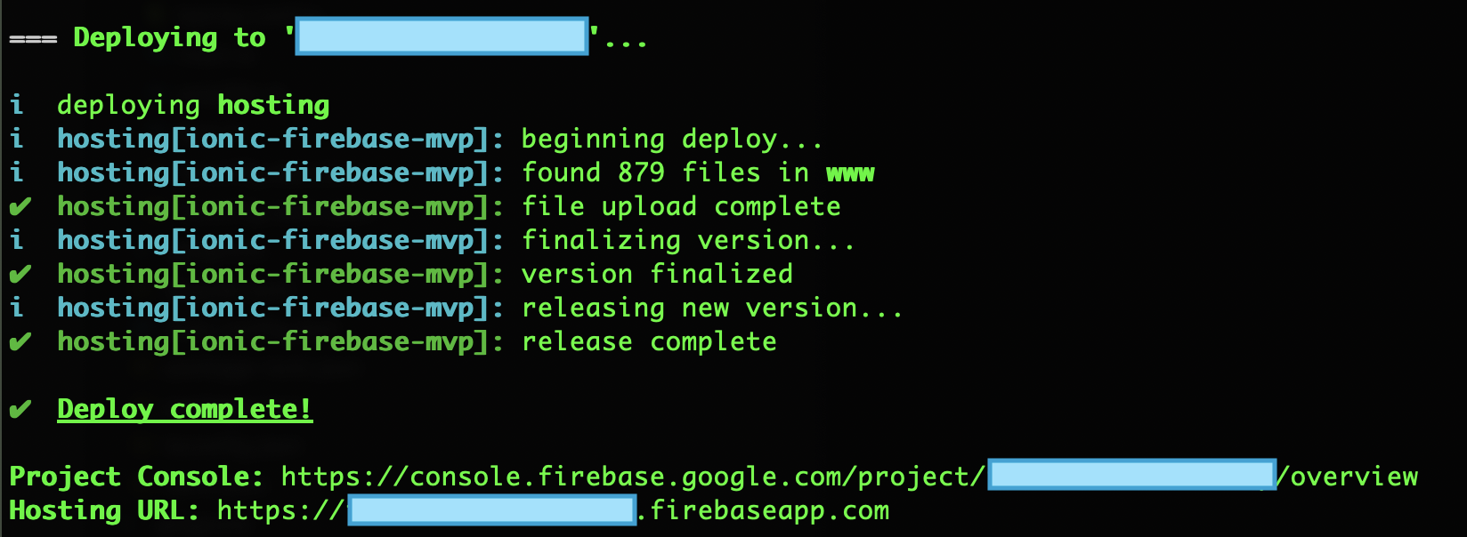 Firebase Deploy Hosting
